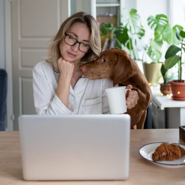 Lo 3 trabajos mas prometedores para el futuro que puedes hacer desde casa
