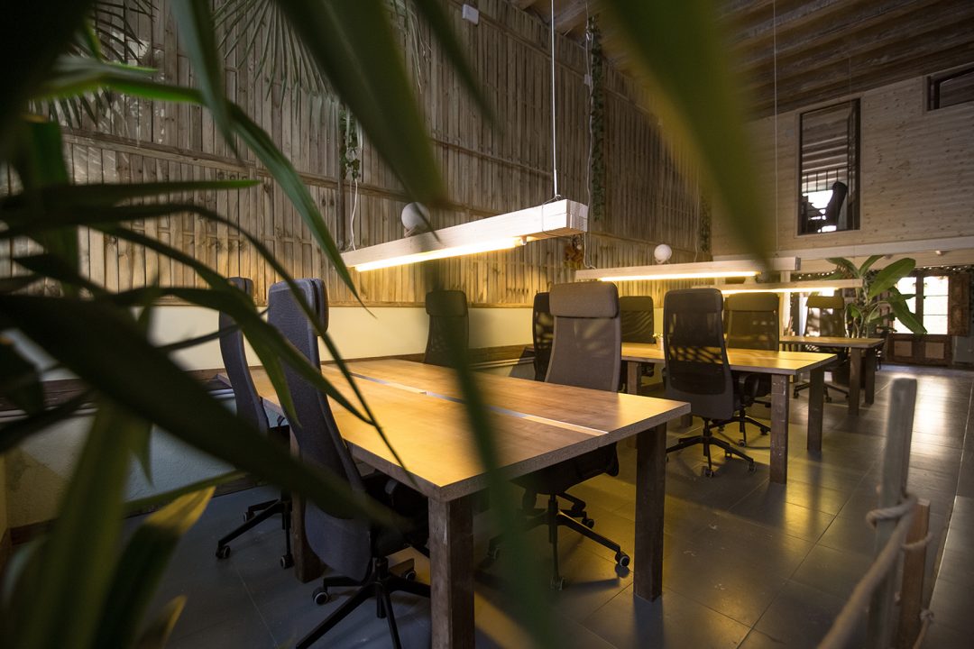 jungle coworking