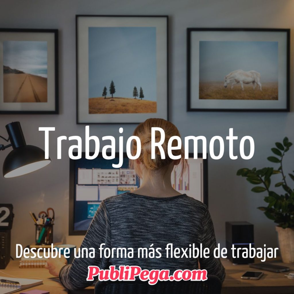 Trabajo Remoto