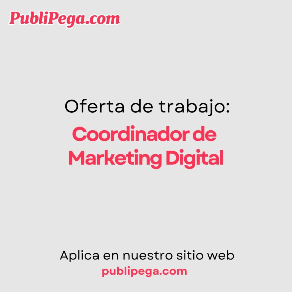 Coordinador de Marketing Digital