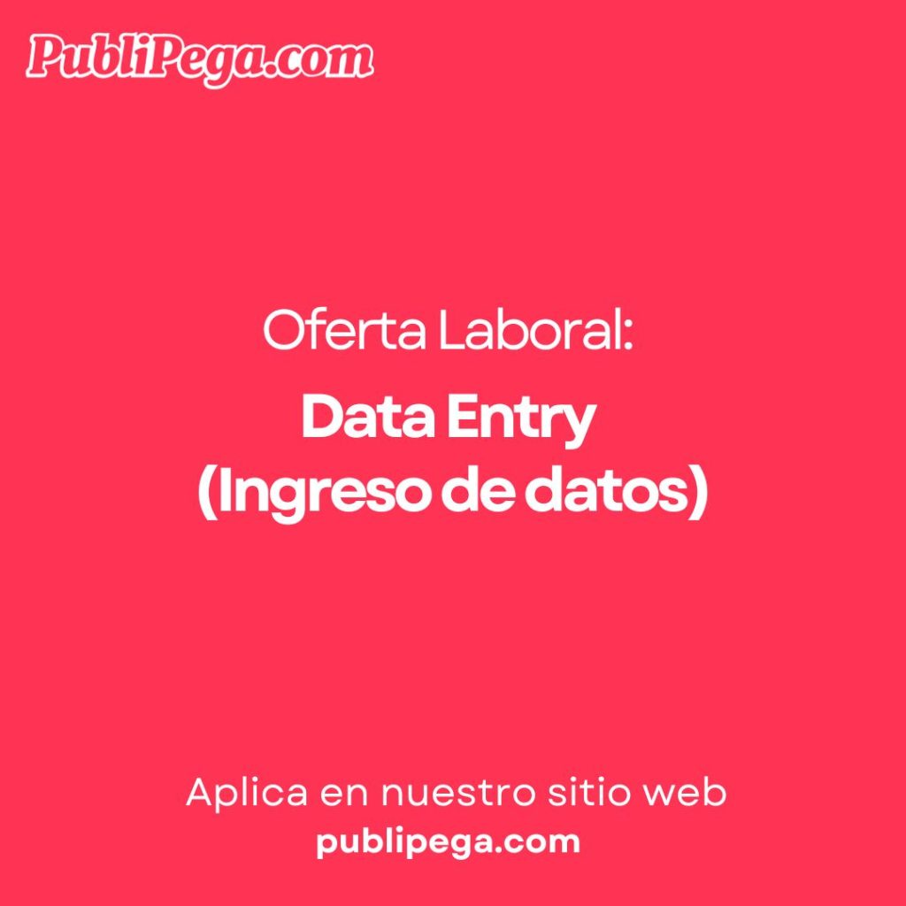 Data Entry (Ingreso de datos)