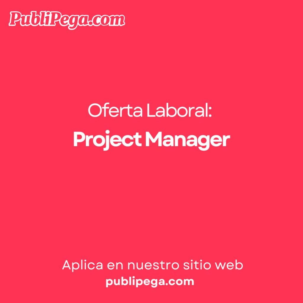 Project Manager