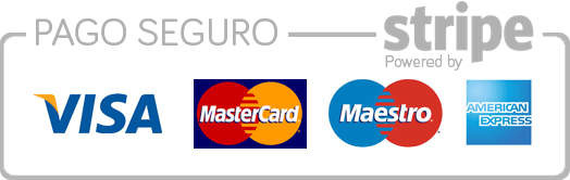 pago seguro stripe