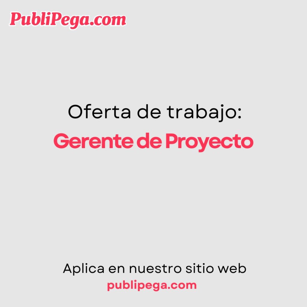 Gerente de Proyecto