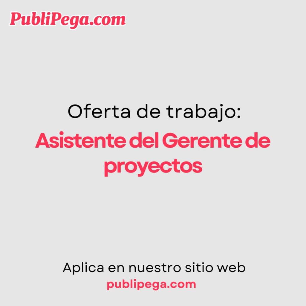 Asistente del Gerente de proyectos