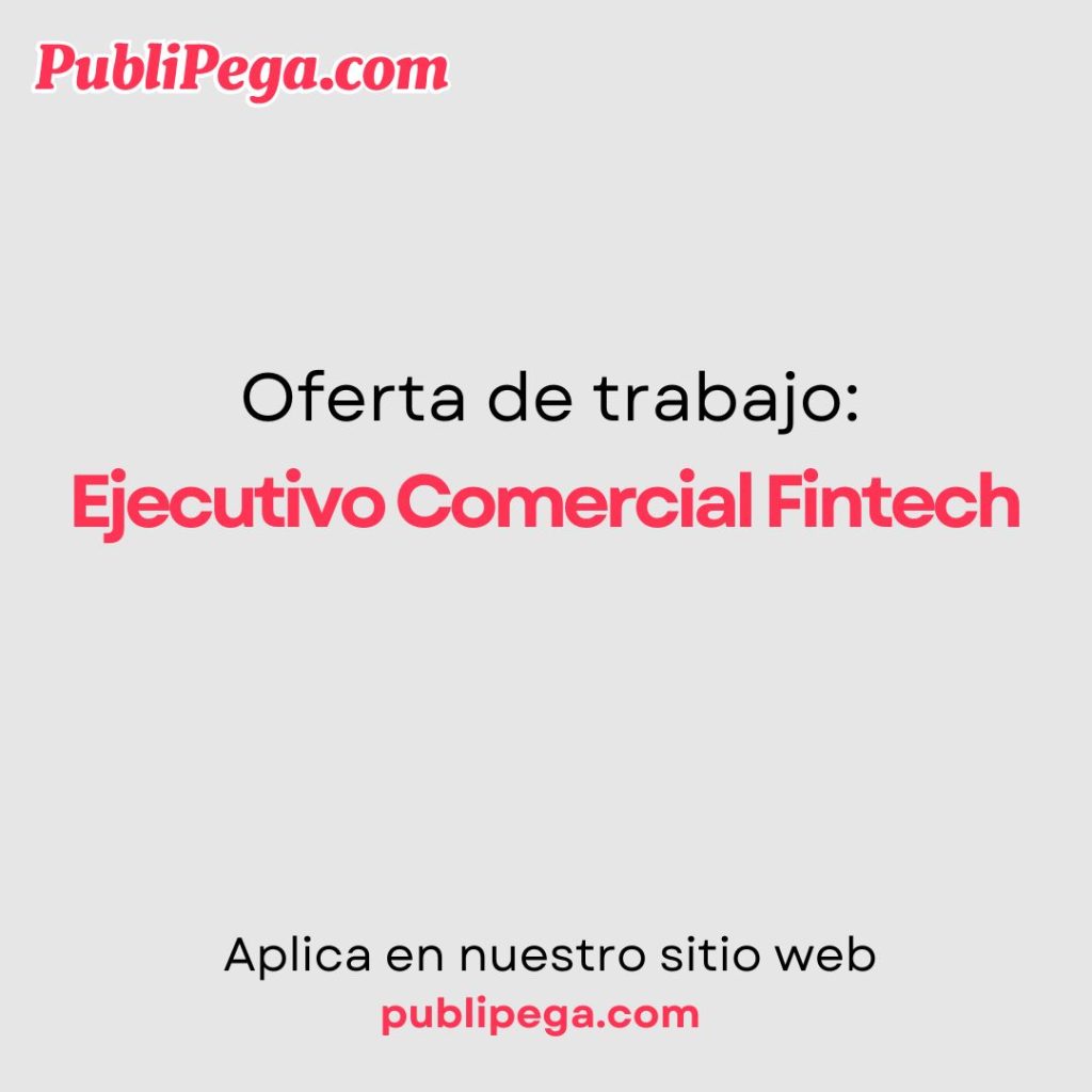 Ejecutivo Comercial Fintech
