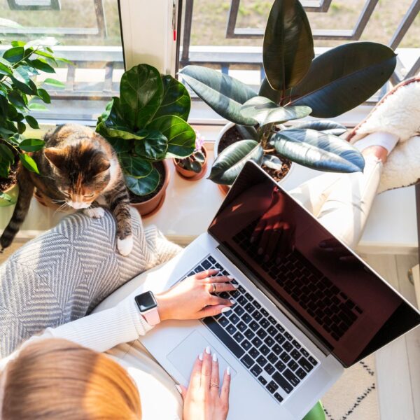 trabajar remoto freelance