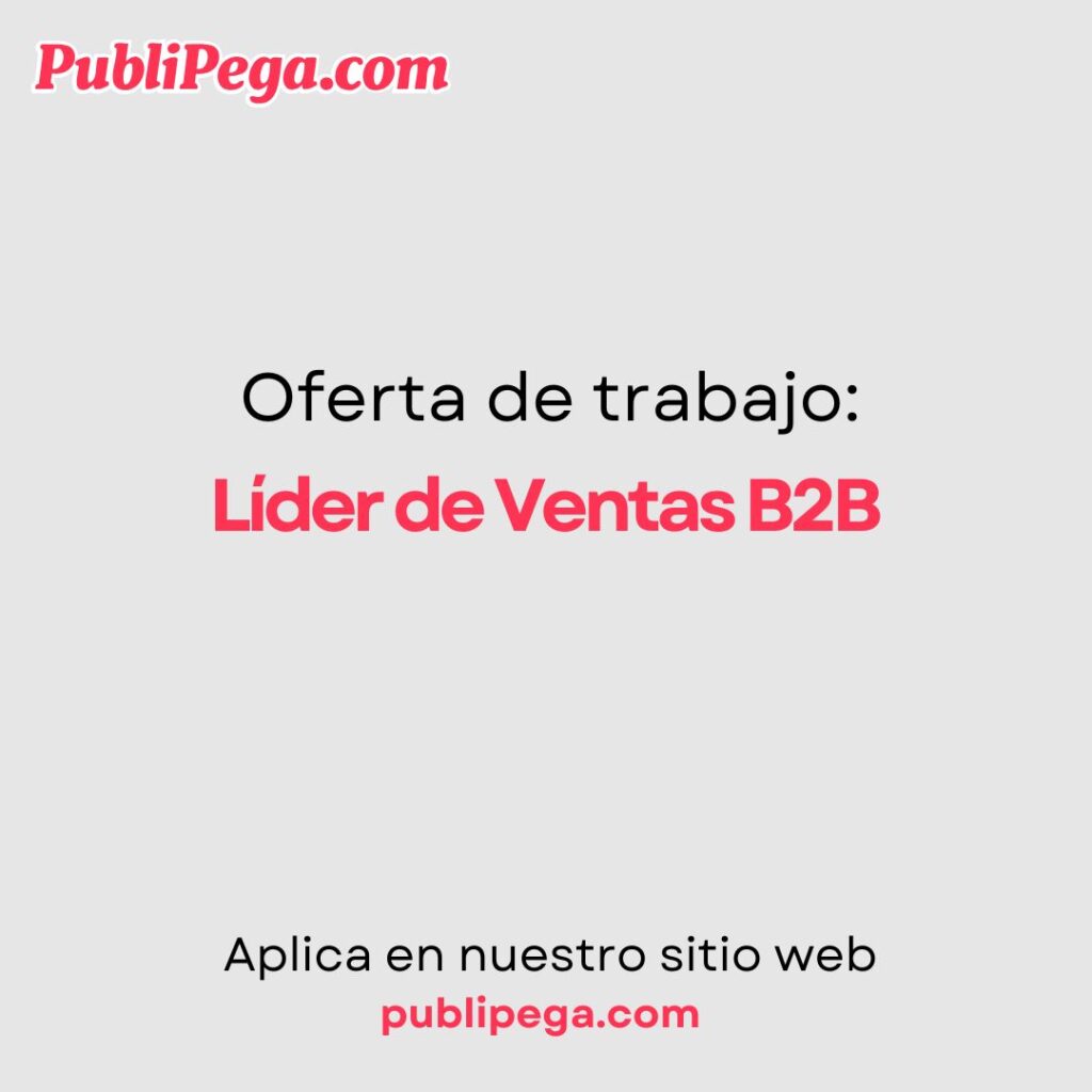 Líder de Ventas B2B