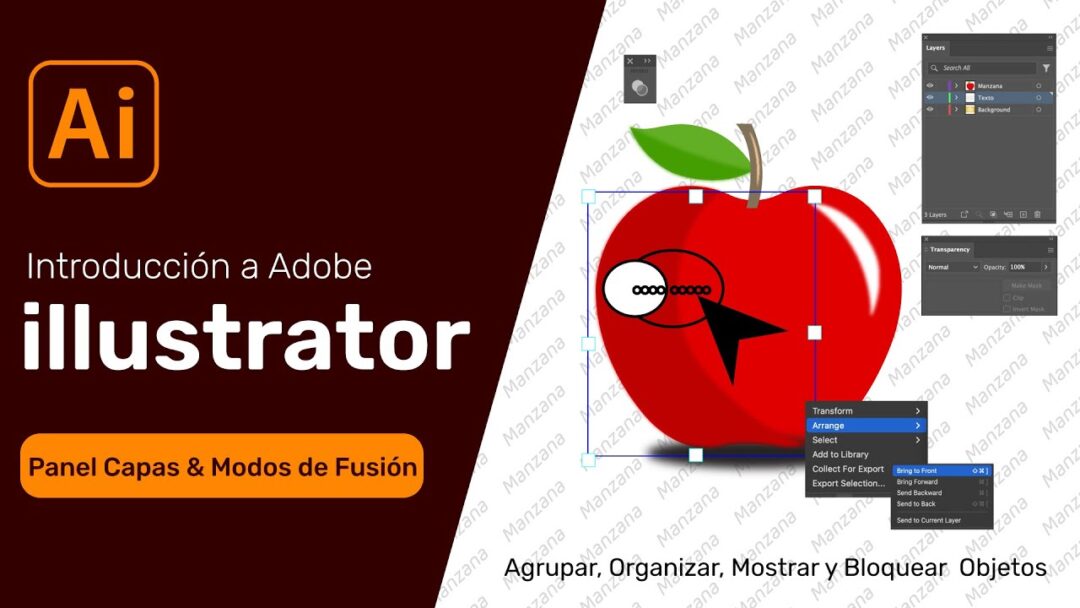 Digrafik- Curso de Adobe ILLustrator