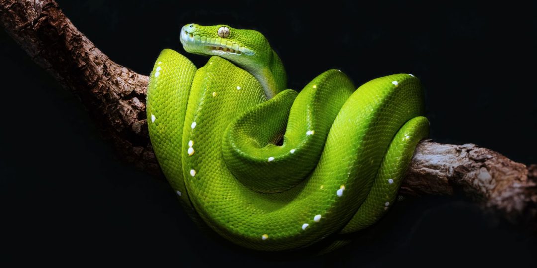 Cómo consolidar varios libros de Excel con Python